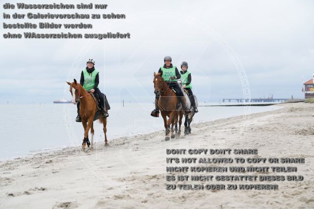 s_K3F04871.JPG